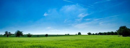 Is it time to start looking for another job? Will the grass be greener...
